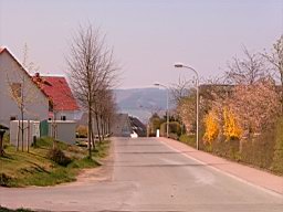 SUC30159.JPG