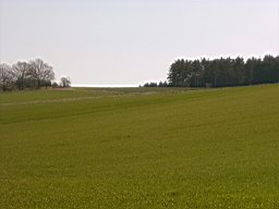 SUC30160.JPG