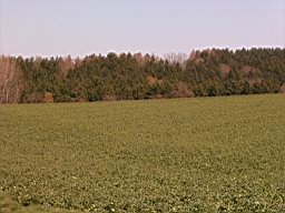 SUC30161.JPG