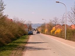SUC30163.JPG